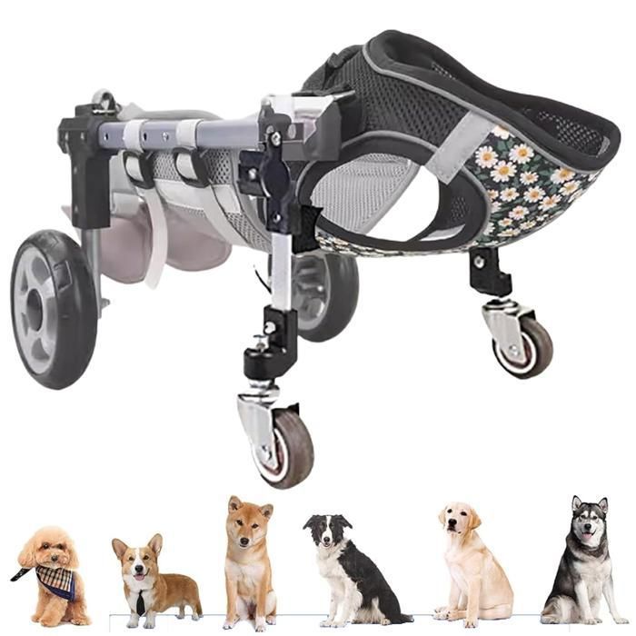 Fauteuil roulant réglable à 4 roues avant et arrière pour chiens de petite moyenne et grande taille pour blessur FAUTEUIL ROULANT