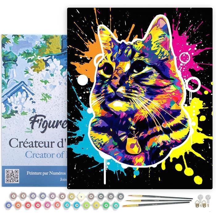 Acheter Cadre peinture à la main par numéros pour adultes, Kits de chat  coloré, animaux faits à la main, Kit de démarrage pour décoration de  maison, 40x50cm