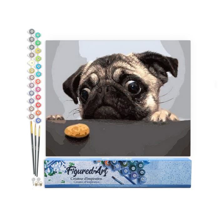Figured'Art Peinture par numéros - Pour adultes - Avec cadre - Motif carlin affamé - Peinture par numéros - Kit de bricolage - 40 x 50 cm - Avec châssis (non tendu