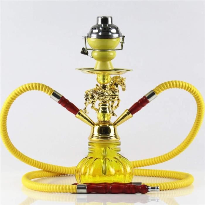 Chicha narguilé - 2 Sorties narguilé Mini 30cm Hookah Trois Couleurs ...