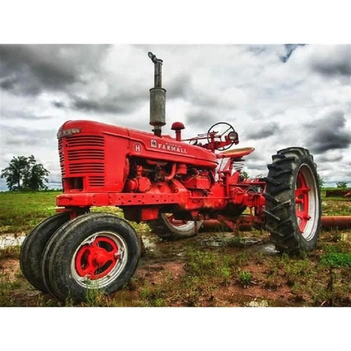 Diamond Painting,DIY 5D Grande Taille Peinture Diamant Strass Complet