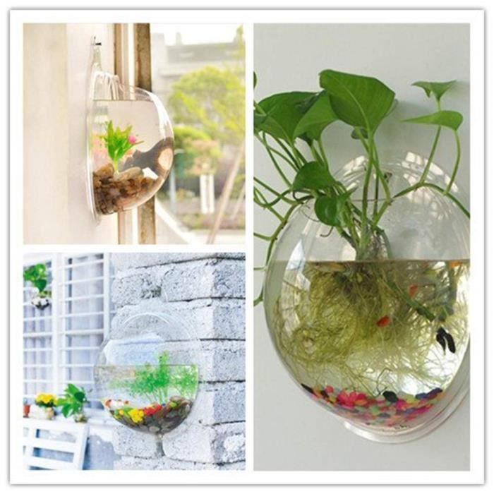 Vase mural transparent à suspendre pour plantes d'aquarium - Cdiscount  Maison