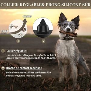 Collier pour chien avec bip Cdiscount