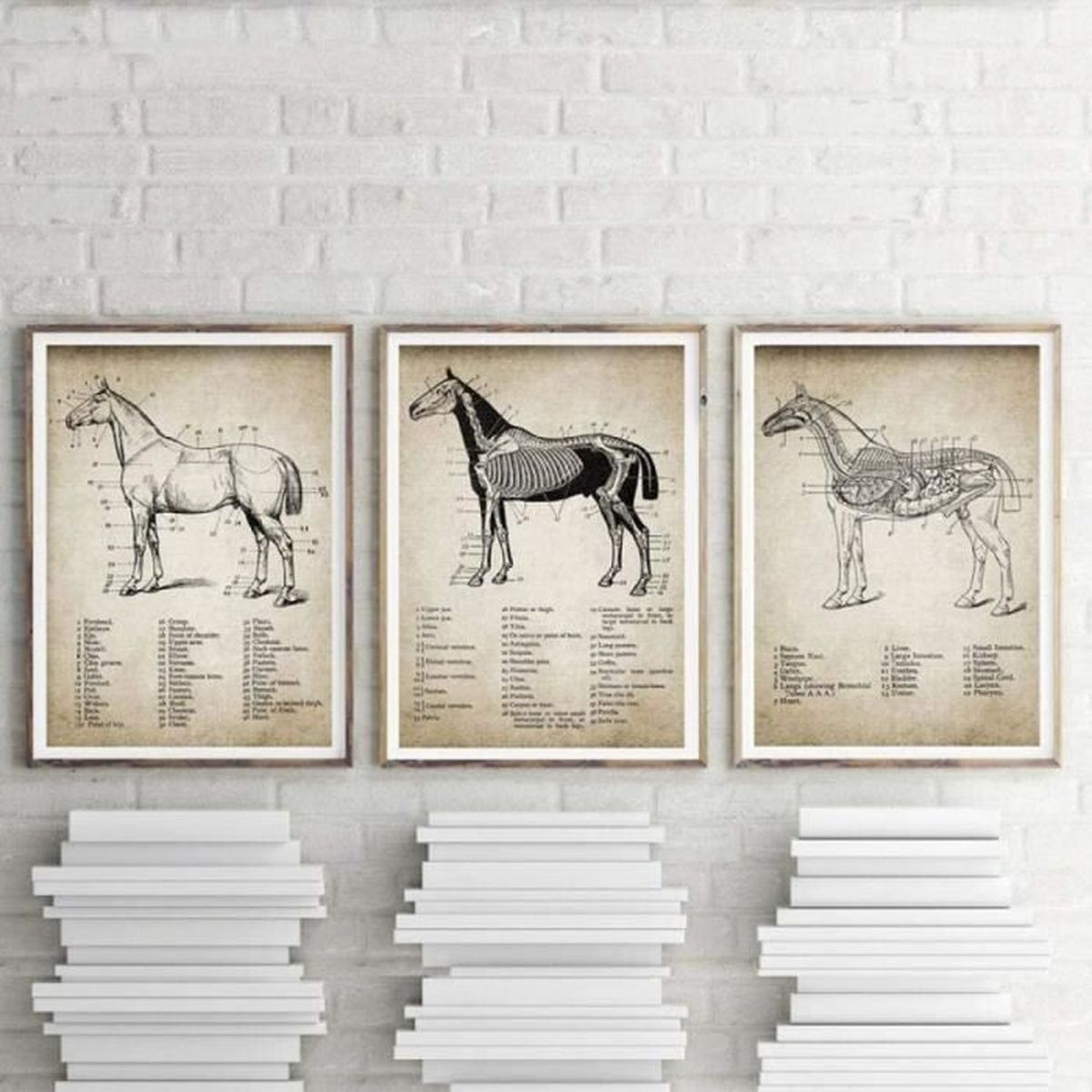 Cheval En Bois Massif 60 Cm - Anatomie Artistique - Modèle Pour Peinture - Allemagne