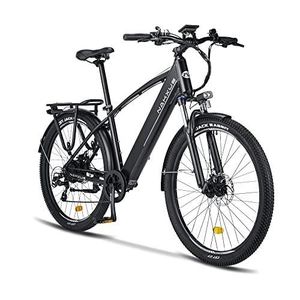 Vélo électrique Qivelo Deluxe N3 homme 504Wh accu - Shimano Nexus