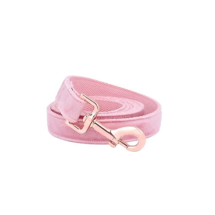 Laisses Colliers,Collier pour chien rose en velours Style Unique, pattes et chiot rose, personnalisé, bleu, pour - Type leash-XL