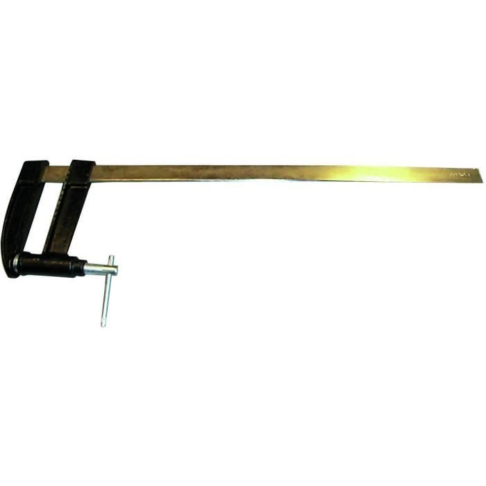 TEC HIT Serre-joint à pompe 120 x 1000 mm