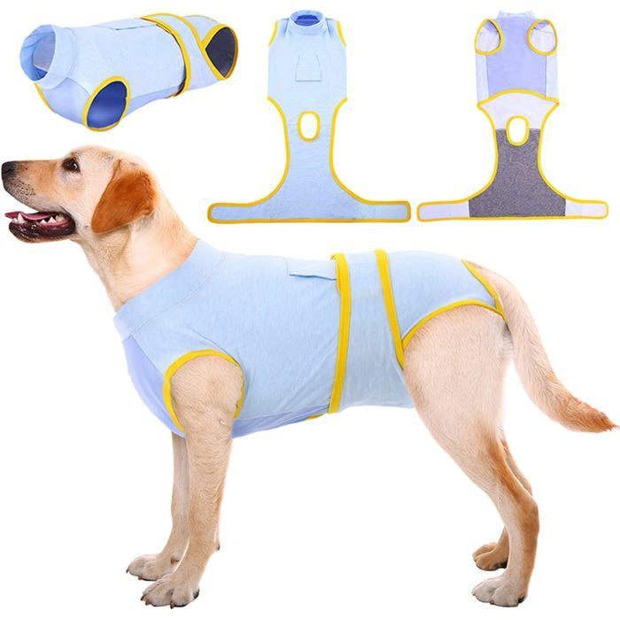 Meilleurs prix pour Combinaison de récupération pour Chien pour Petite Moyenne Grande Taille Chiot après Une opération chirurgicale （XL）