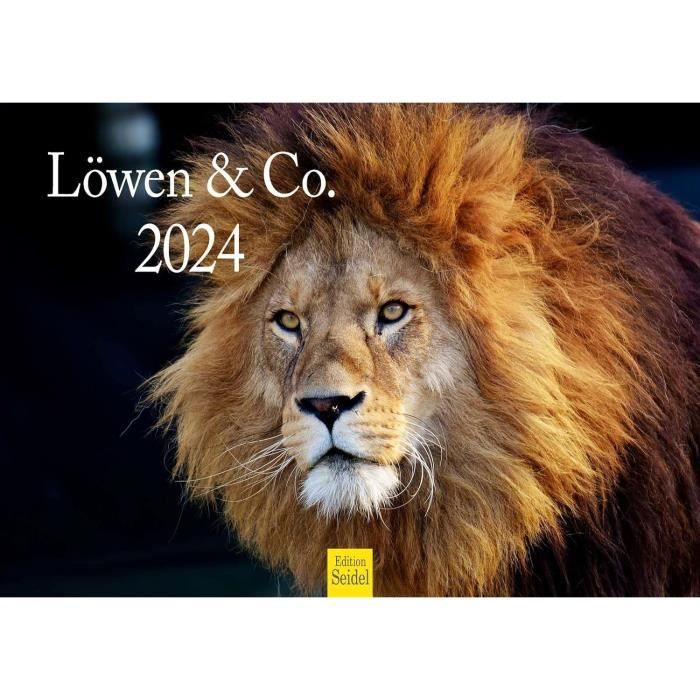 Edition Seidel Calendrier Mural 2025 De Qualité Supérieure - Format A4 - Motif : Renard, Animaux, Animaux Sauvages, Animaux De La Forêt, Prédateurs