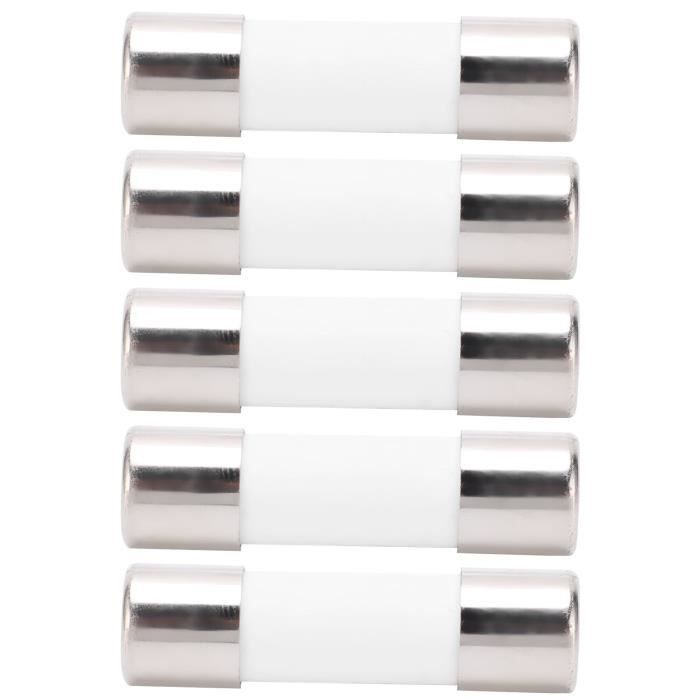 Partuto 10 Pièces Fusibles AGU 40A 10x38mm - Fusibles Verre Voiture Universels Pour Sécurité Alimentation