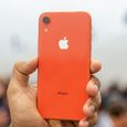 Corail for Iphone XR 64Go-3