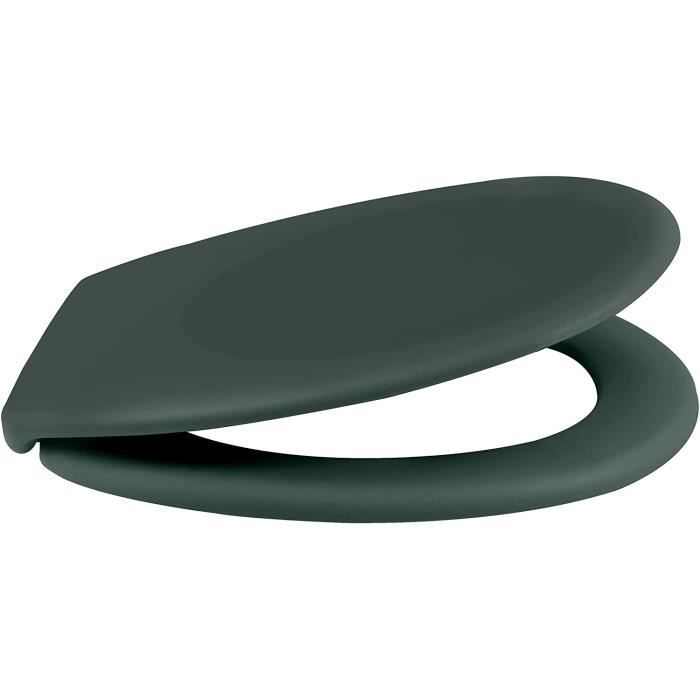 Abattant WC Thermo Dur Neela Vert Fonc Mat Charni res ABS
