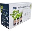 Cultivea - Kit Prêt à Pousser d'Herbes Aromatiques - Cultivez votre Basilic, Persil et Ciboulette - Graines Françaises 100% Bio -0