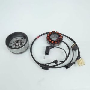 ALTERNATEUR Stator rotor d allumage RMS pour scooter Piaggio 1