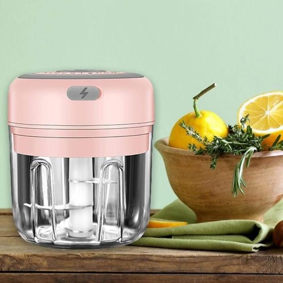 Lot De 2 Mini Hachoirs Électriques WIYETY 300ml - Batterie USB Rechargeable, Bleu - Pour Ail, Oignons, Légumes Et Noix