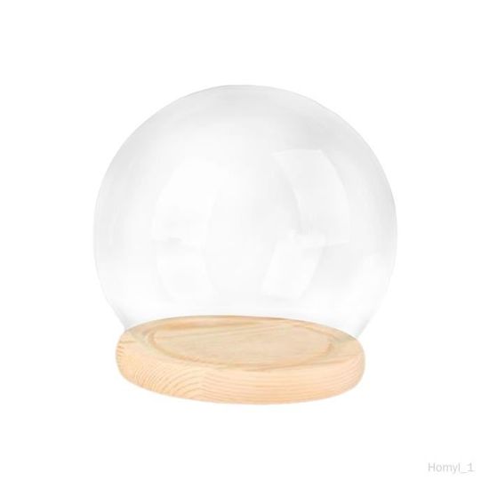 Cloche En Verre Transparent Avec Base En Bois - Dôme DIY Pour Centres De Table, Micro Paysage Et Décoration Intérieure