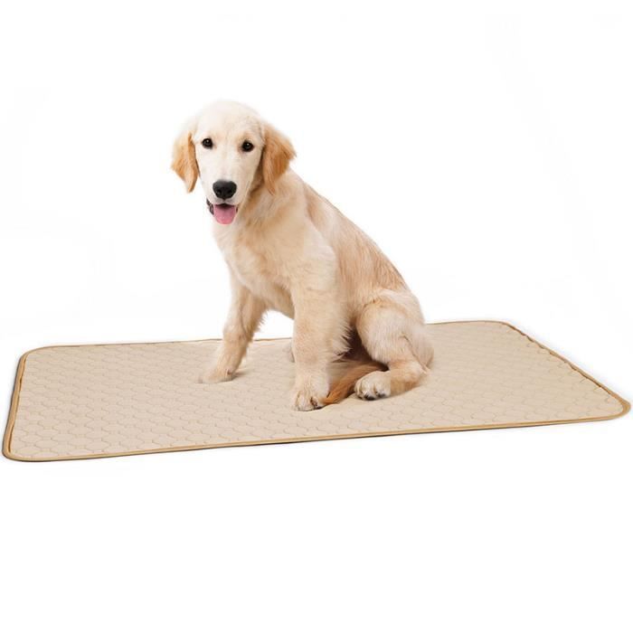 2PCS Tapis Propreté Educateur Pour Chien Entraînement Toilette Lavable Tapis - Beige