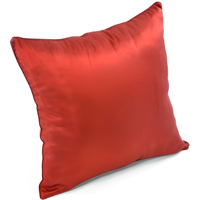 Coussin Déhoussable Aspect Soie Rouge 45 x 45 cm