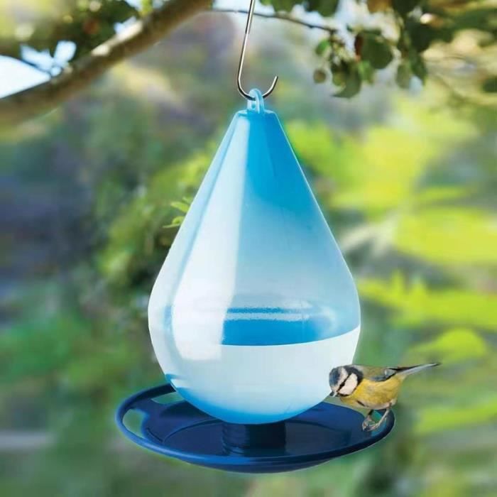 Mangeoire à oiseaux transparente en verre pour jardin