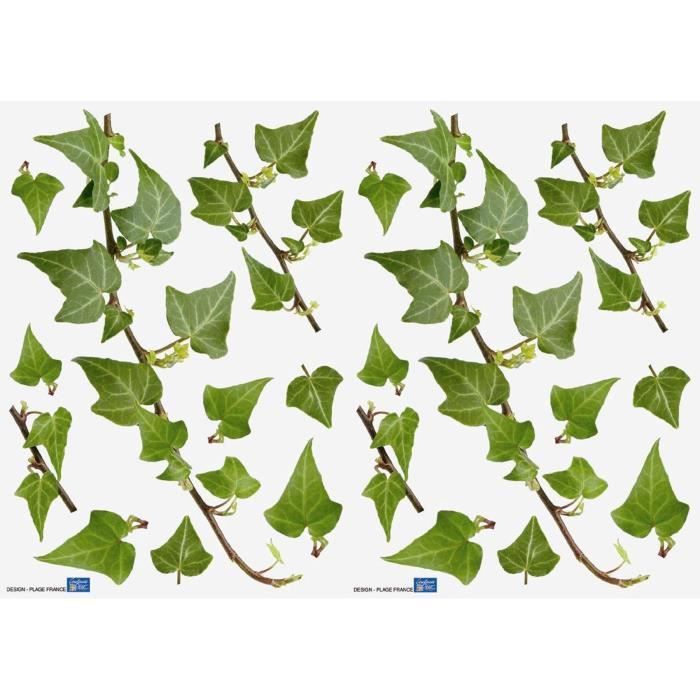 Lot de 2 planches de Stickers adhésif - Lierres - 29,7 x 21 cm