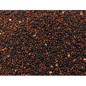 Vadigran Navette (Poids: 1 Kg