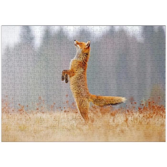 Étoile Royale Premium Pièces Puzzle Collection spéciale MyPuzzle Robert