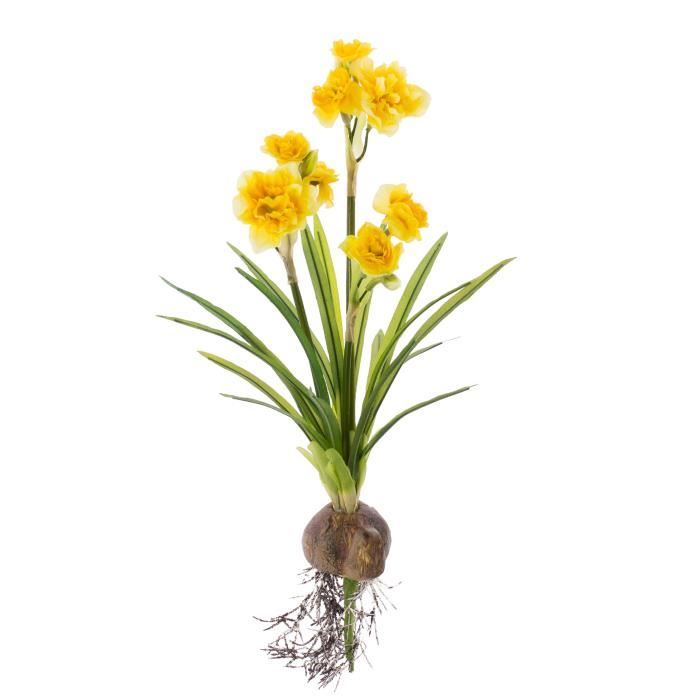 Jonquille artificielle avec oignon, 3 tiges de fleurs, jaune, 45 cm - Fleur  artificielle - Narcisse artificiel - artplants - Cdiscount Maison