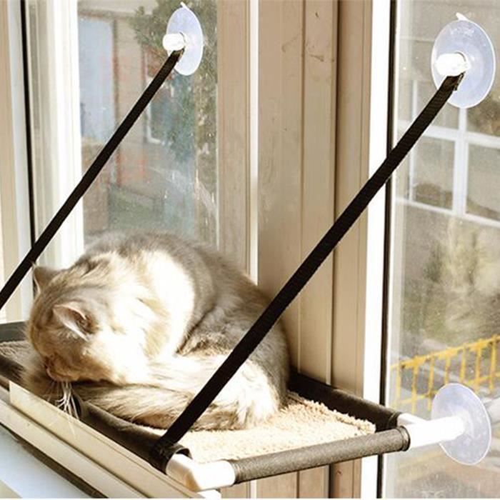 Sportolo Ujdonsag Elkuldes Panier Chat Suspendu Alamandacangguvilla Com Sportolo Ujdonsag Elkuldes Panier Chat Suspendu Alamandacangguvilla Com