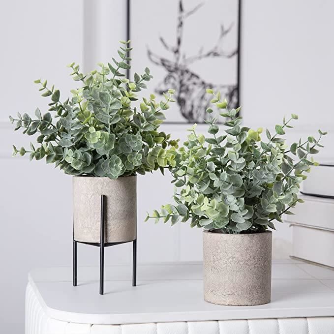 Mini Plantes Artificielles d'eucalyptus en Pot Pour Fête Mariage Bureaux  Salon 1 PCS - Cdiscount Maison