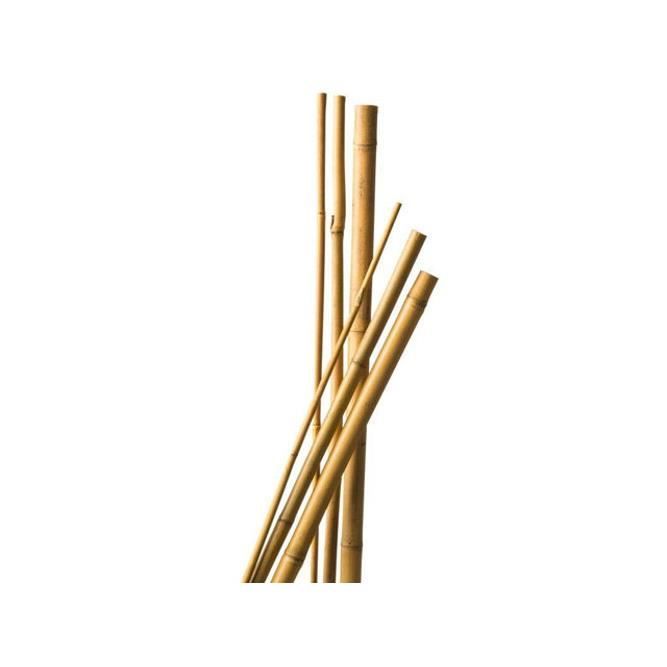 NATURE Tuteur bambou naturel x 10 - H 60 cm