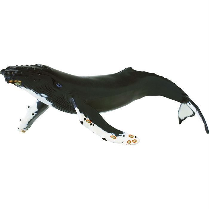 safari 2100 02 baleine a bosse cdiscount jeux jouets