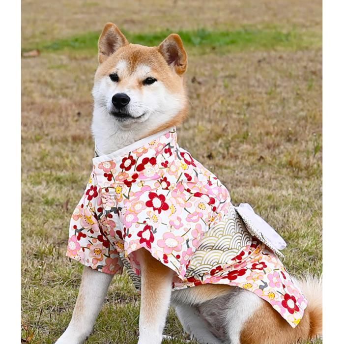 Vetement shiba inu 2025