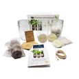 Cultivea - Kit Prêt à Pousser d'Herbes Aromatiques - Cultivez votre Basilic, Persil et Ciboulette - Graines Françaises 100% Bio -1