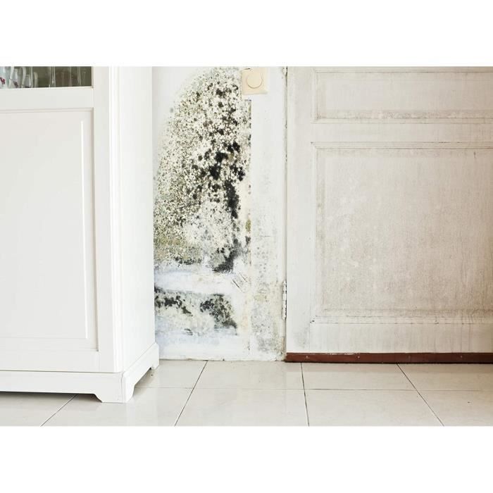 Peinture anti moisissure et humidité blanche pour murs et  plafonds-Interieur Exterieur Enterrés-Acrylique et lessivable-Respi[~54] -  Cdiscount Bricolage