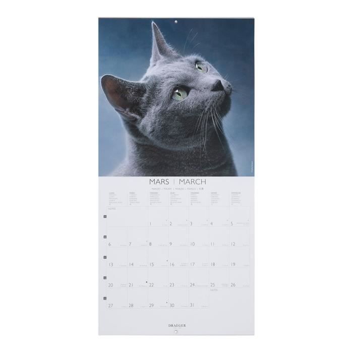 Grand calendrier mural 29x29 cm - 2024 - Chats