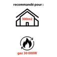 Chauffage à gaz infrableu MECAFER - MH30000G - 30000 W - Compatible butane et propane-1