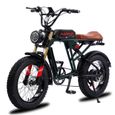 AKEZ S2 - Vélo électrique - Pneus tout terrain 20*4" - Moteur 750W - Batterie 48V 13Ah - Shimano 7 Vitesse - Tout suspendu - Vert-0