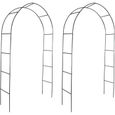 Arche de Jardin - Tonnelles - 2 pcs pour Plantes Grimpantes - 140 x 39 x 240 cm-0