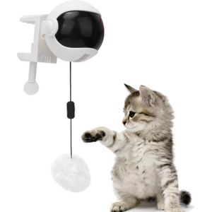 MOON-Pet jouer disques jouets pour chats animaux fournitures de jeux  interactifs disque plaque tournante des jouets à billes - Cdiscount
