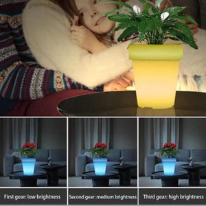 POT LUMINEUX Pot de fleurs lumineux LED - FAFEICY - Etanche - Télécommande - Jardin - Piscine - Fête