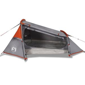 TENTE DE CAMPING KIT Tente de camping tunnel 2 personnes gris et or