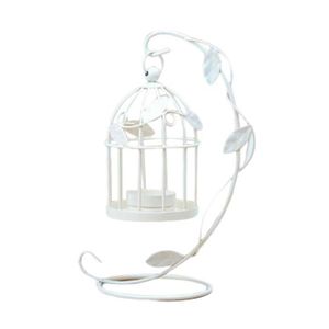 Cage Oiseaux Decoration