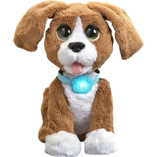 Filo mon chien bavard sales