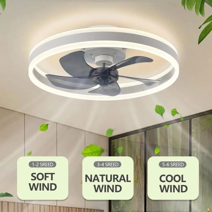 Ventilateur De Plafond Silencieux Dimmable 3 Couleurs avec Télécommande Ventilateur Plafonnier 55W -blanc #21 - Lpnove