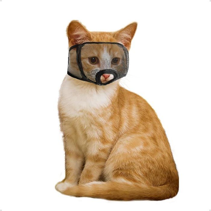 pour Chat avec revêtement en Maille SoupleMasque de Protection buccale pour Chat pour Empêcher Les Noir XS XS MUSELIERE
