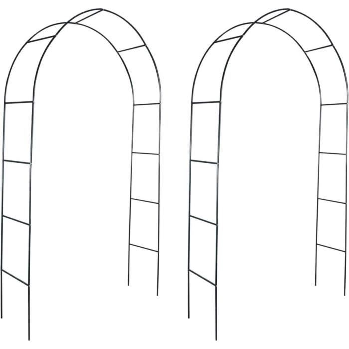 Arche de Jardin - Tonnelles - 2 pcs pour Plantes Grimpantes - 140 x 39 x 240 cm