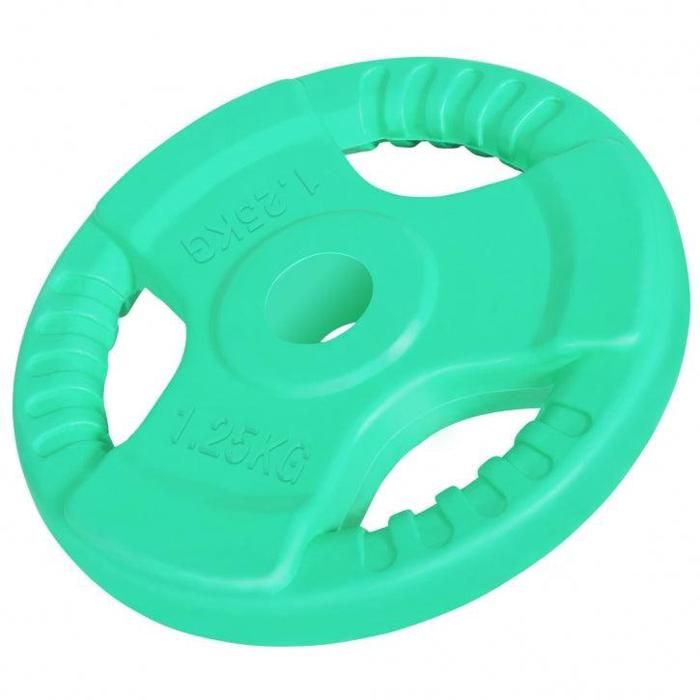 Gorilla Sports Disque de 5kg avec poign/ée 31mm en Fonte rev/êtement Caoutchouc