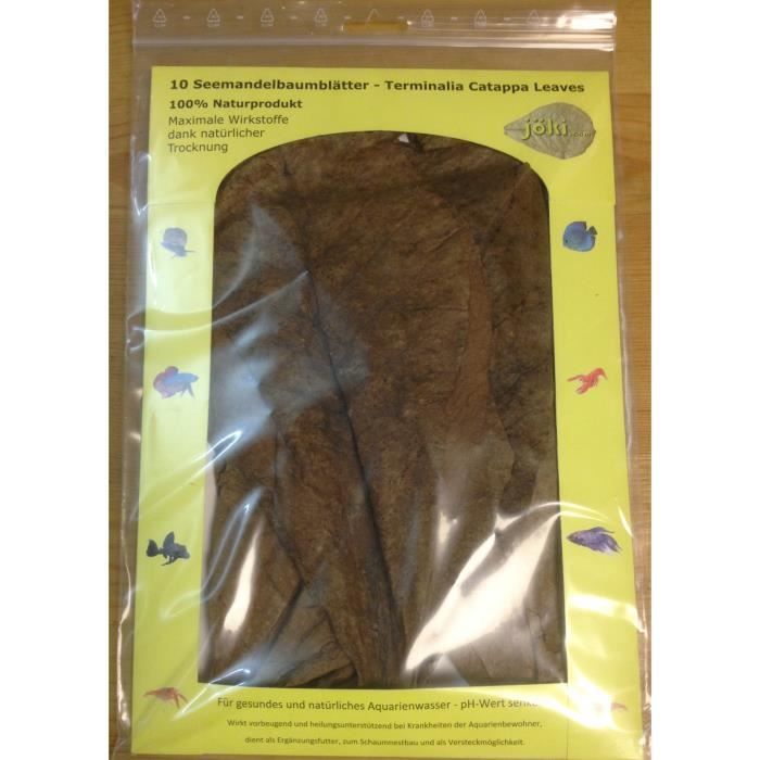 CATAPPA XL Feuilles de Badamier