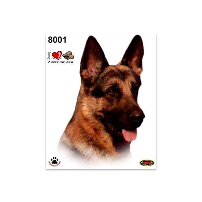 Sticker Berger allemand, âgé de 3 ans, et de Chihuahua, âgé de 4 mois