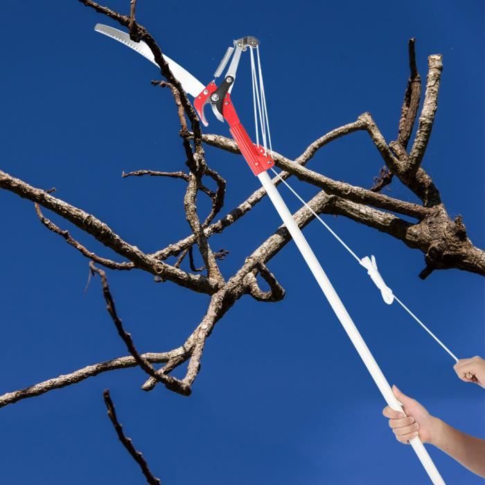 Cisaille à Gazon, Sécateur à Lame Droite - Longueur Totale 20 Cm, Lame 6 Cm - Acier Inoxydable - Pour Jardin, Bonsaï, Arbres Fruitiers - 9